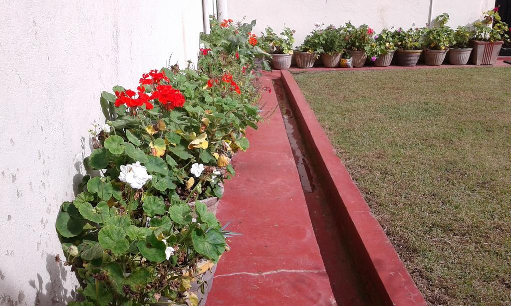 Avon Field Holiday Bungalow Nuwara Eliya Zewnętrze zdjęcie