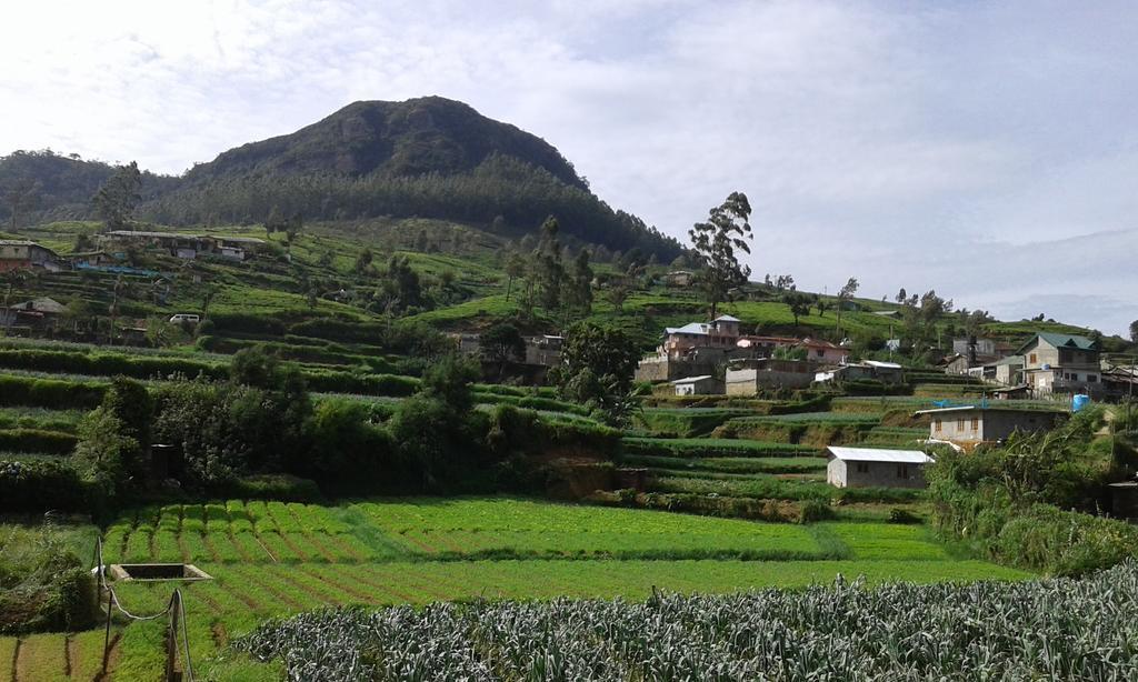 Avon Field Holiday Bungalow Nuwara Eliya Zewnętrze zdjęcie