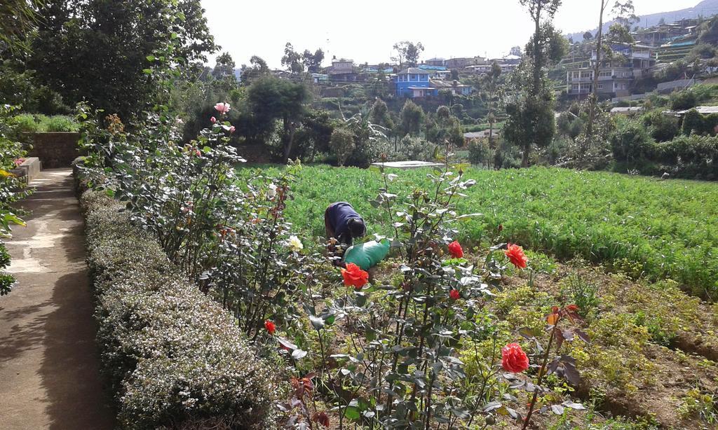 Avon Field Holiday Bungalow Nuwara Eliya Zewnętrze zdjęcie